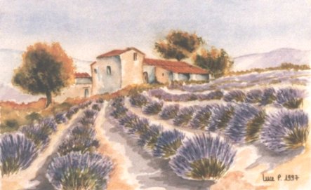 image07.jpg