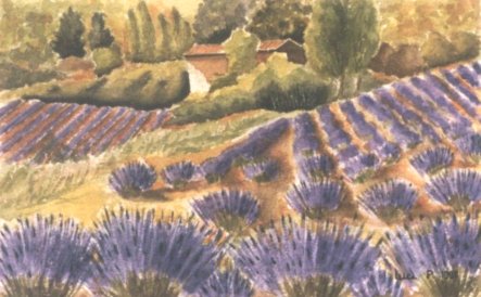 image10.jpg
