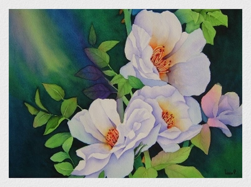 Pivoines