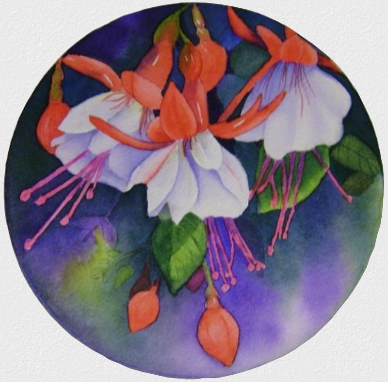 Fuschias