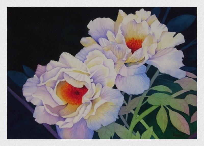 Pivoines le soir
