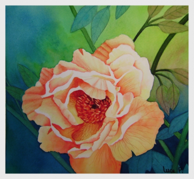 Pivoines du levant