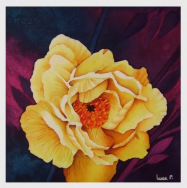 Pivoines du couchant