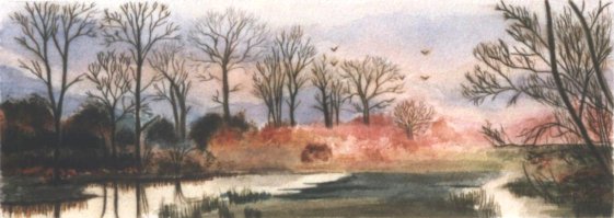 Matin d'hiver