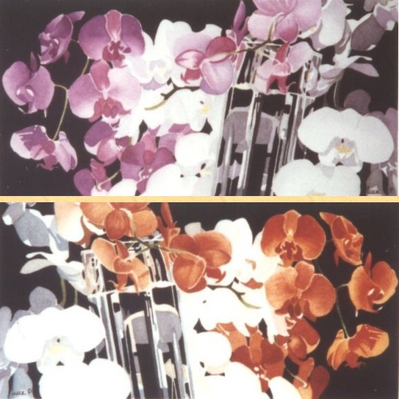 L'envole d'orchides 1 & 2 aquarelles 20cm x 37cm
