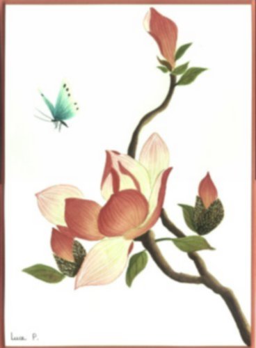 Les magnolias aquarelle 26cm x 35cm